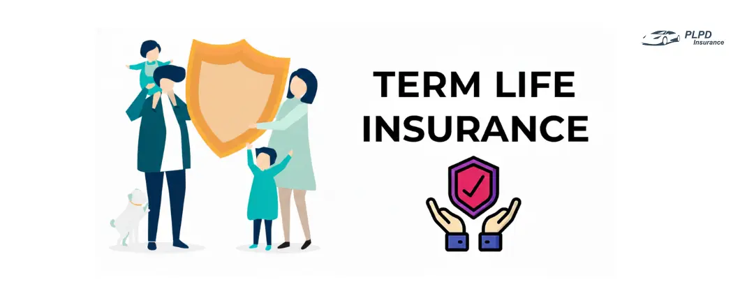 Term Life Insurance Term Life Insurance