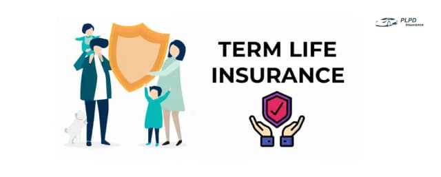 Term Life Insurance Term Life Insurance