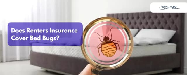 Does Renters Insurance Cover Bed Bugs Does Renters Insurance Cover Bed Bugs